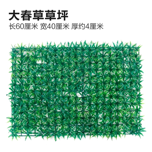 Зеленое растение Стенка Стены Растение настенные лужайки