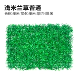 Зеленое растение Стенка Стены Растение настенные лужайки