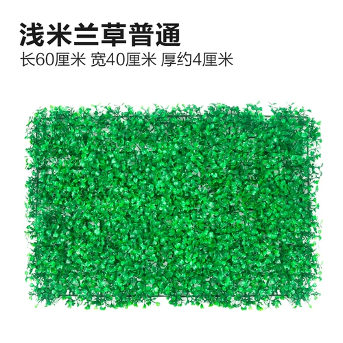 Зеленое растение Стенка Стены Растение настенные лужайки