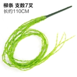 Зеленое растение Стенка Стены Растение настенные лужайки