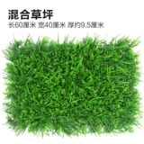 Зеленое растение Стенка Стены Растение настенные лужайки