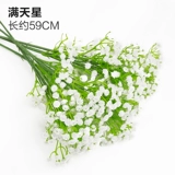 Зеленое растение Стенка Стены Растение настенные лужайки