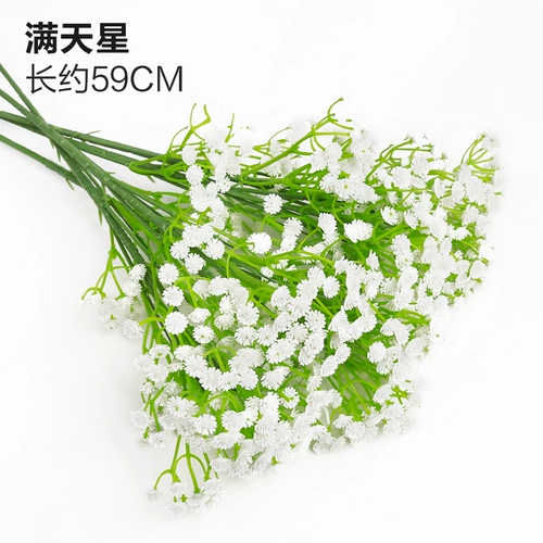 Зеленое растение Стенка Стены Растение настенные лужайки