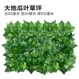 Зеленое растение Стенка Стены Растение настенные лужайки