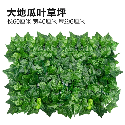 Зеленое растение Стенка Стены Растение настенные лужайки