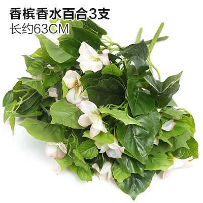 Зеленое растение Стенка Стены Растение настенные лужайки