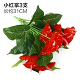 Зеленое растение Стенка Стены Растение настенные лужайки