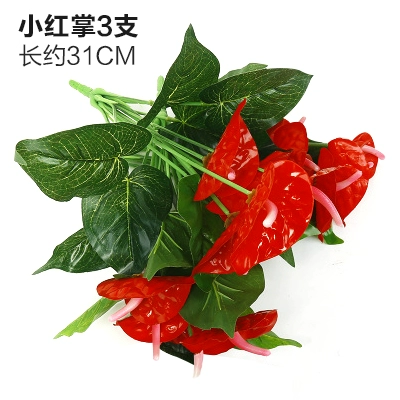 Зеленое растение Стенка Стены Растение настенные лужайки