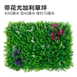 Зеленое растение Стенка Стены Растение настенные лужайки