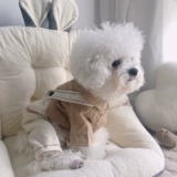 Клейкий рис, комплект, рубашка, платье, в британском стиле