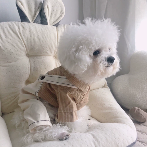 Клейкий рис, комплект, рубашка, платье, в британском стиле