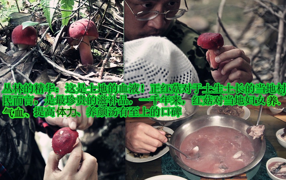 红菇福建野生红菇干货250g红蘑菇
