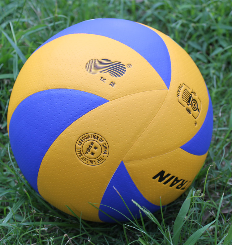 Ballon de volley-ball - Ref 2015506 Image 15