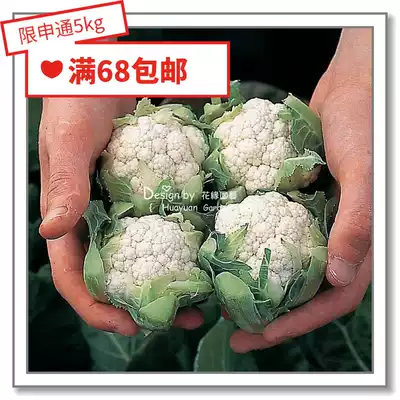 Flower edge Pickles imported vegetable seeds * UK TM * cauliflower broccoli cauliflower 5