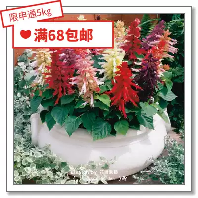 Flower-edge Pickles imported flower seeds * Japanese TAKII * Fessangria Series 10