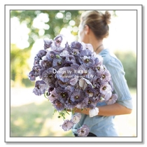 Floral Pickles imported flower seeds * Multi-year raw balcony to plant * Yu Beauty * Shirley grey 5 grains