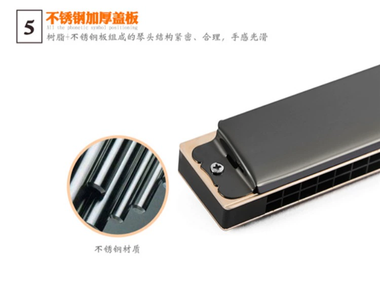 Swan Harmonica 24 lỗ đa âm C chuyên nghiệp chơi người lớn ABDEFG giai điệu cho người mới bắt đầu học sinh nhạc cụ - Nhạc cụ phương Tây