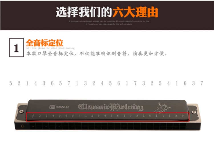 Swan Harmonica 24 lỗ đa âm C chuyên nghiệp chơi người lớn ABDEFG giai điệu cho người mới bắt đầu học sinh nhạc cụ - Nhạc cụ phương Tây guitar điện fender