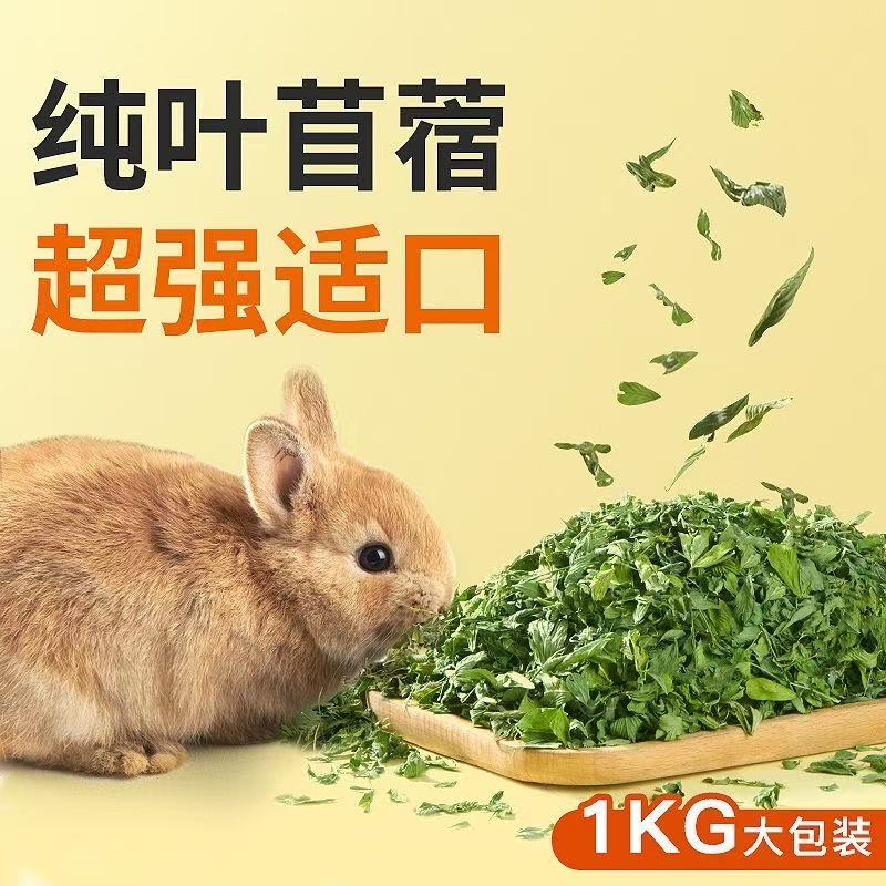 Fresh Alfalfa Leaves, Alfalfa Leaves, Whole Leaves, Baby Rabbit Food, Pasture Hay, Alfalfa Grass, Fresh Rabbit Grass Fresh Alfalfa Leaves, Alfalfa Leaves, Whole Leaves, Baby Rabbit Food, Pasture Hay, Alfalfa Grass, Fresh Rabbit Grass