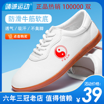 Tai chi shoes canvas summer womens and mens four seasons spring summer and autumn beef tendon bottom cloth shoes Taijiquan practice shoes martial arts shoes