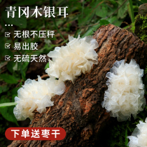 Sichuan deep mountain white fungus dry goods basswood snow ear fresh pregnant women section wood white fungus lotus soup