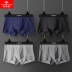 Yu Zhaolin đồ lót nam cotton trẻ trung boyshort thể thao Hàn Quốc thoáng khí thấm mồ hôi quần gợi cảm quan lot  nu trung nien Võ sĩ quyền Anh