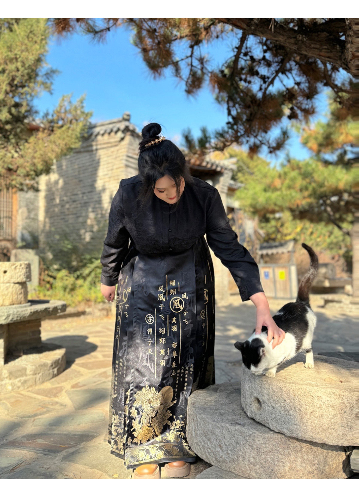 китайский костюм 梦唐记凤凰于飞原创大码汉服胖mm冬季200斤大码马面裙文字织金