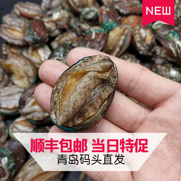 泓牧源 鲜活野生小鲍鱼 500g约25-35只 天猫优惠券折后￥54.9顺丰包邮（￥59.9-5）