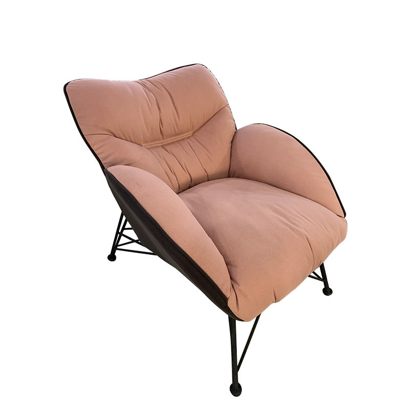 Summer wood warehouse small sofa net red ins wind Nordic light luxury iron arc minimalist designer metal tiger chair