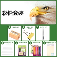 Цветной ведущий костюм