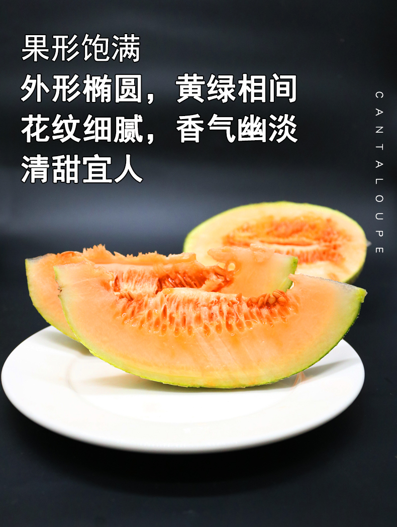 我们买过 全中国最好吃的哈密瓜 新疆火焰山西州蜜25号 2个共重7斤左右 图4