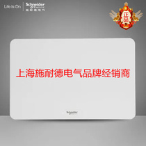 Schneider distribution box strong electric box Tianlang concealed opaque door single row 20-circuit empty distribution box TLA20B