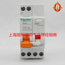 Schneider Electric Circuit Breaker Double Inlet and Double Out Air Switch DPN40A with Leak Protection EA9C45C4030C