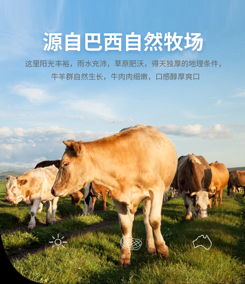 肯德基供应商 大江食品 巴西进口原切眼肉牛排 120g*4片 图5