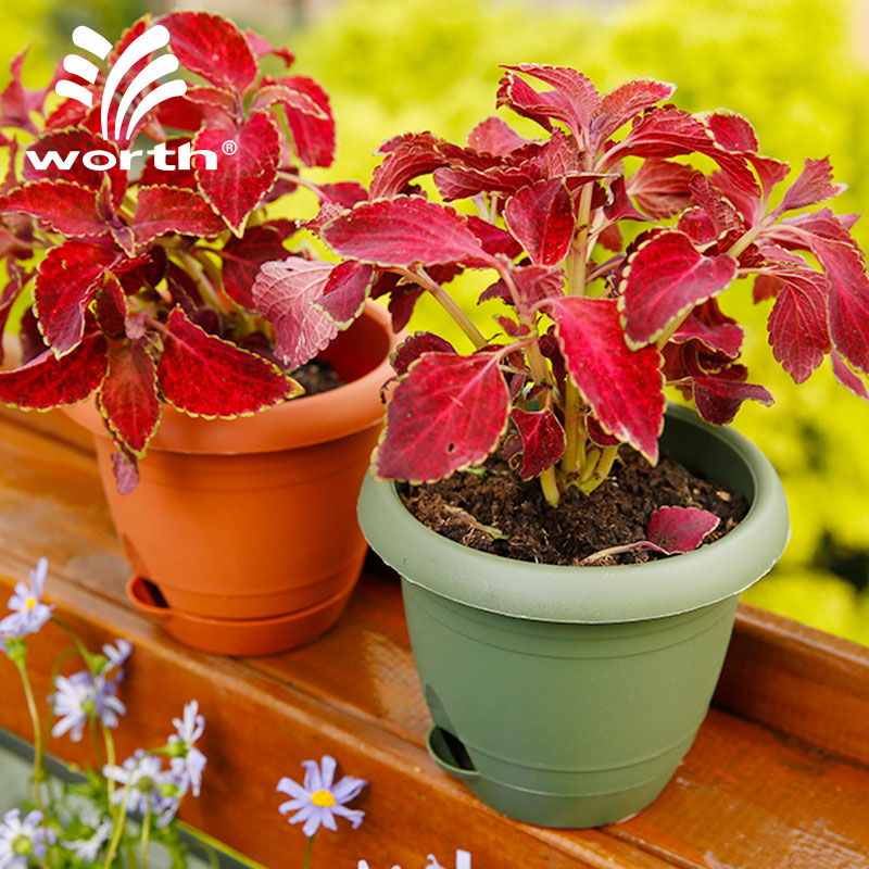 Worth kindergarten planting flower pot pot pot pot pot pot pot pot pot pot