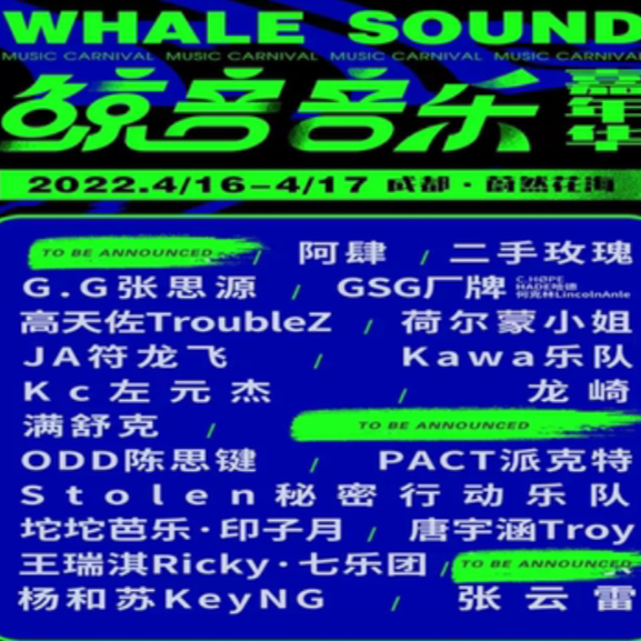 2022 Chengdu Whale Music Carnival Whale Music Festival tickets Zhiqian Xue Zhang Yunlei Second-hand roses