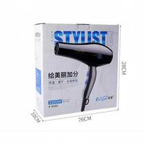 (Selected by Sister Ping) FZ Hair Dryer