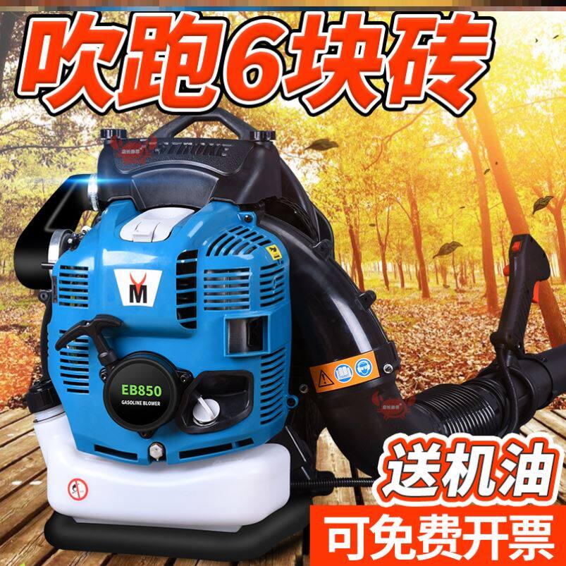 Greenhouse Blow Snow Machine High Power Snow Removal Machine NEGATIVE PETROL HAIRDRYER BLOW FALL LEAF MACHINE WIND FIRE EXTINGUISHER CONSTRUCTION SITE
