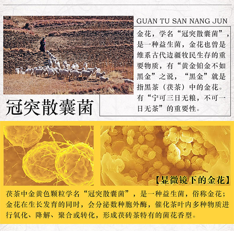 中国黑茶老字号 白沙溪 传统松香 御品金花茯茶 318g 图3