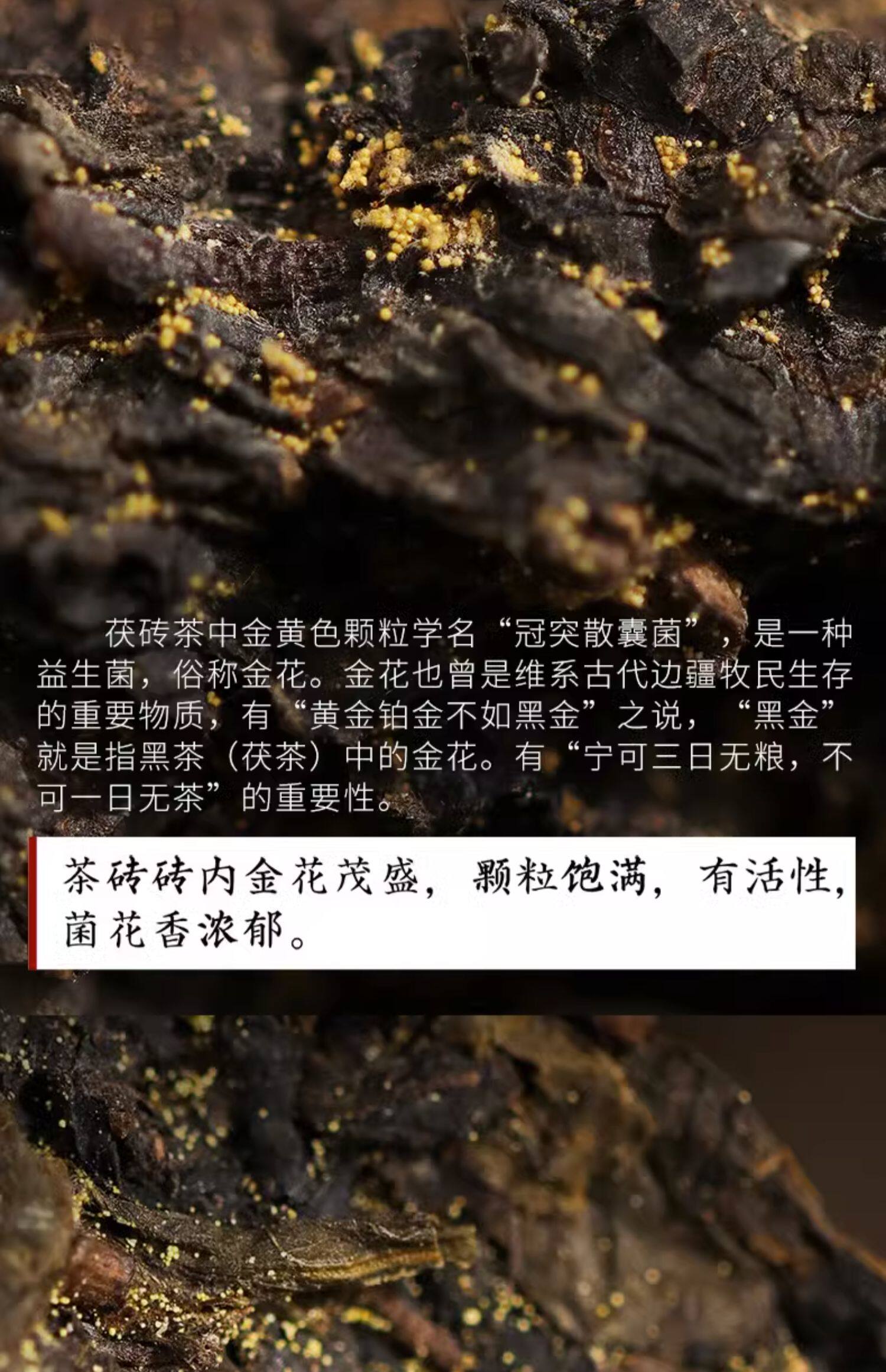 黑茶湖南安化正品白沙溪金花茯砖茶天尖茶正宗茯茶手筑天茯茶1kg 黑茶湖南安化正品白沙溪金花茯砖茶天尖茶正宗茯茶手筑天茯茶1kg
