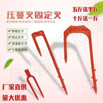 On the new strawberry presser watermelon fork strawberry fork melon and watermelon presser pressman fork seedling fork watermelon seedling