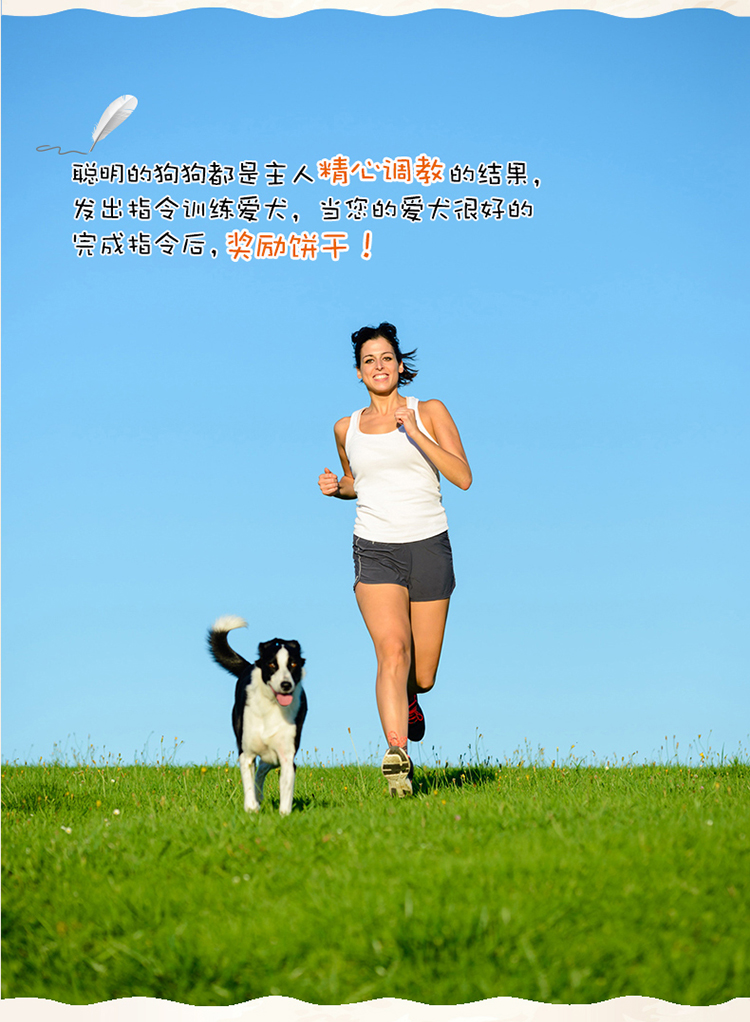 [2% giảm 2 miếng] Bánh quy khử mùi cho thú cưng nghịch ngợm Đồ ăn vặt cho chó phổ biến trừ bánh quy gây hôi miệng 400g đồ ăn cho chó