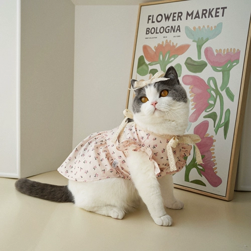 Благодарность домашняя питомец роза Принцесса Юбка Малзис Беркоса Кука Летняя кошачья собака одежда маленькая собака