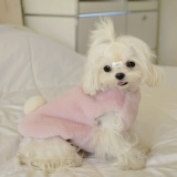 Боуу, посмотри!Это маленький кролик!Зимний мальз, Йорк Лето, гуще, чем одежда для собак с медведем.