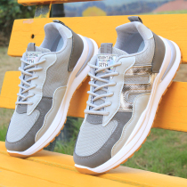 Male Shoes Summer Breathable Mesh Shoes Deodorant Casual Shoes 100 Hitch Shoes Man Tide Shoes Spring Autumn Sneakers Heightening Old Daddy Shoes