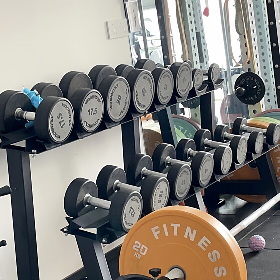 Dumbbell Rack Commercial and Home Use Set Multi-Layer Dumbbell Storage Rack Gym Double-Layer Dumbbell Rack Carbon Steel Dumbbell Stand