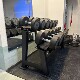 Dumbbell Rack Commercial and Home Use Set Multi-Layer Dumbbell Storage Rack Gym Double-Layer Dumbbell Rack Carbon Steel Dumbbell Stand