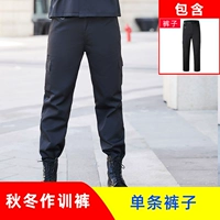 Демисезонные штаны, ремень