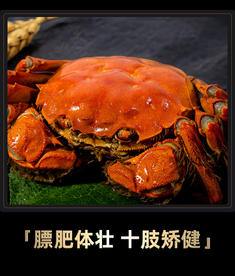 创新公母分装设计,蟹太太 大闸蟹 公4两+母3两 8只蟹卡礼券 268元包邮 值值值-买手聚集的地方