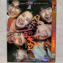 Winddog Youth Sky HD Campus Youth TV series DVD Disk Chinese word